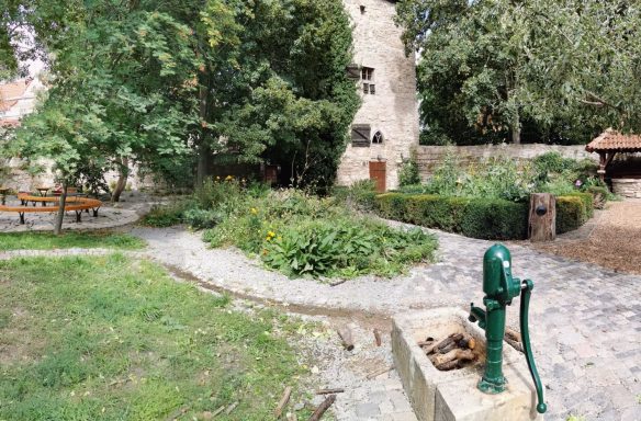 Eine grüne Gartenlandschaft mit einem alten Brunnen und blühenden Pflanzen.