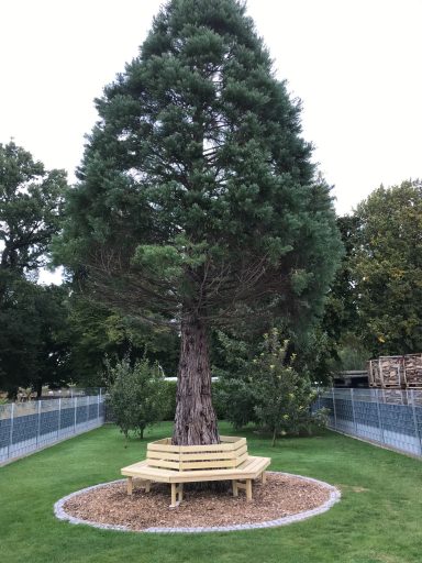 Großer Baum mit rundem gelben Sitzbank in einem gepflegten Garten.