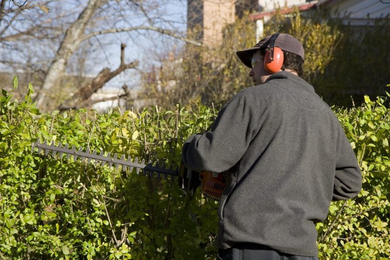 Mann schneidet Hecke mit einer elektrischen Heckenschere im Garten.